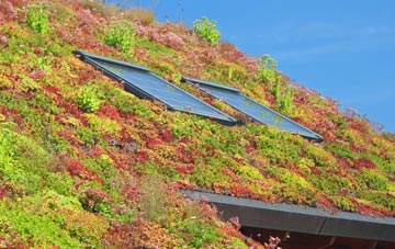 Pendlebury living roof systems