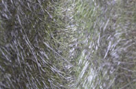 Pendlebury fibreglass roof work