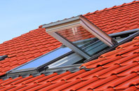 Pendlebury roof window